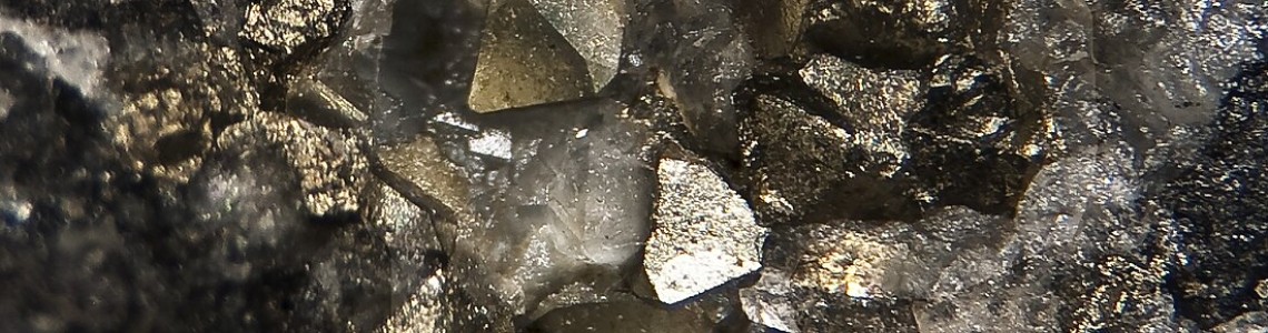 礦區搶先上架 New From Mining Area